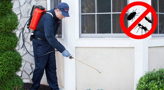 Kiraz Dezenfeksiyon böcek ilaçlama ve haşere kontrolü — ilaclama-tr.com
